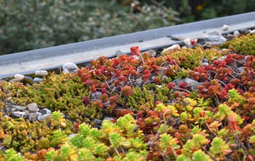 the cost of Barrasford green roof installation