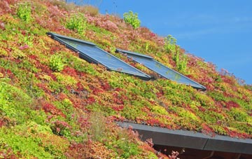 Barrasford living roof systems