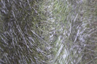 Barrasford fibreglass roof work